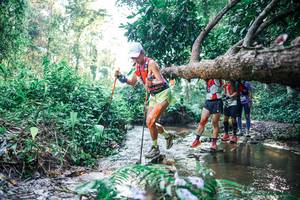 BIB: 
                            <button type="button" onclick="openModal(25436552)" class="btn btn-primary btn-sm float-right btn-popup" data-toggle="modal" data-target=".modal-high-quality">
                        <i class="fas fa-shopping-cart"></i> Add to Cart
                    </button>
                                            <button type="button" onclick="isThisMe(25436552, true)" class="btn btn-success btn-sm float-right btn-popup btn-isme hidden" data-toggle="tooltip" data-placement="bottom" title="นี่คือรูปของคุณใช่ไหม คลิกที่นี่เพื่อเอาเข้าอัลบั้ม">
                        <i class="fas fa-plus"></i> Add to album
                    </button>
                    <button type="button" onclick="isThisMe(25436552, false)" class="btn btn-warning btn-sm float-right btn-popup btn-isnotme hidden">
                        <i class="fas fa-ban"></i> Remove from album
                    </button>